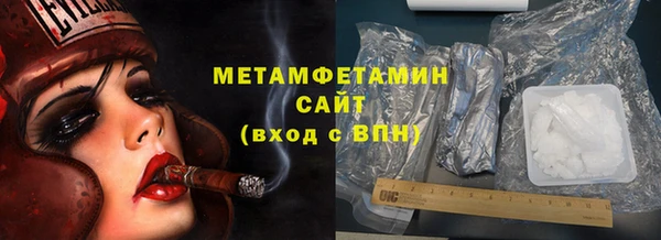 шишки Абаза