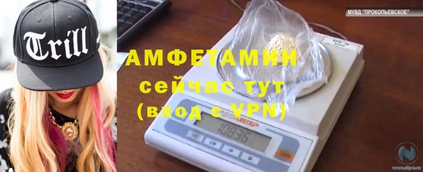 шишки Абаза
