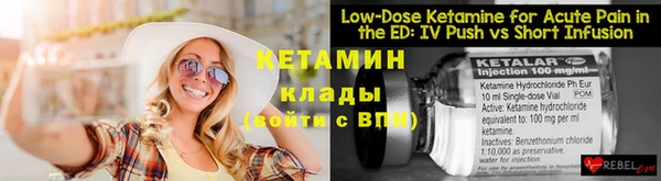 шишки Абаза