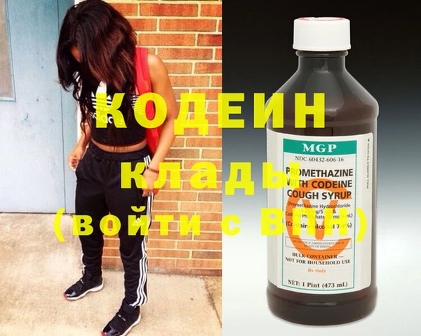 шишки Абаза