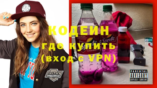 шишки Абаза