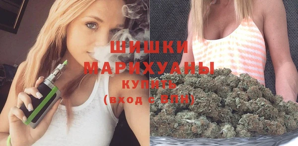 шишки Абаза