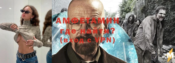 шишки Абаза