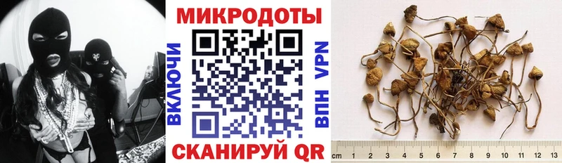 закладка Чапаевск OMG ONION Псилоцибиновые грибы Magic Shrooms